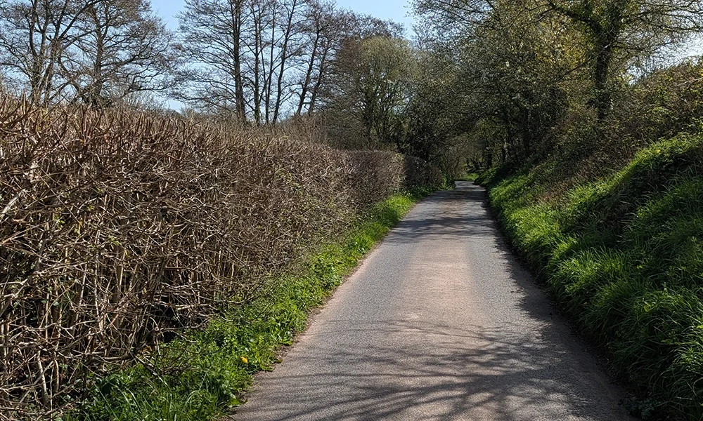 boswell-lane